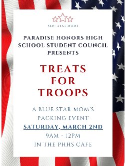 Treats for Troops with Blue Star Moms
